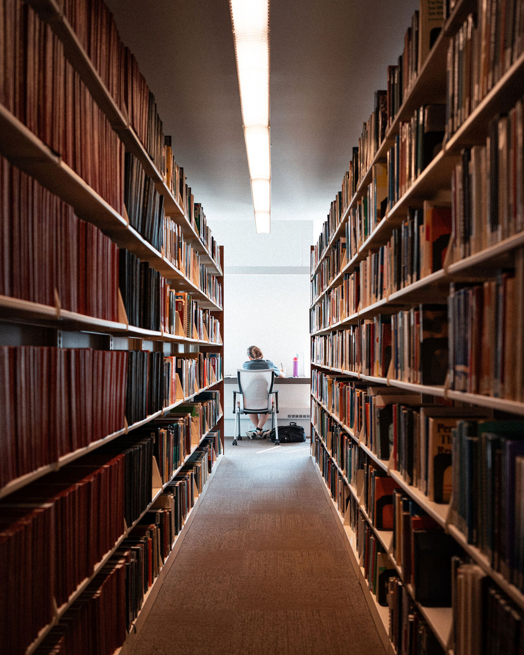 Estanterías de la biblioteca del campus de Chicago de la Universidad Adler.